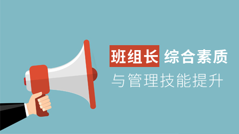 综合素质与技能提升 